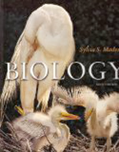 Biology by Sylvia S Mader