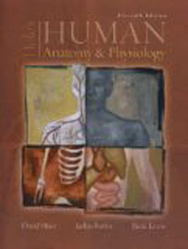 Hole's Human Anatomy And Physiology by Jackie / Shier