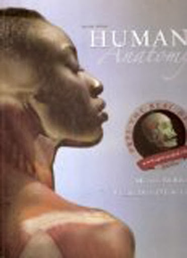 Human Anatomy by Michael P McKinley