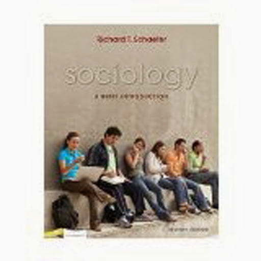 Sociology A Brief Introduction by Richard T Schaefer