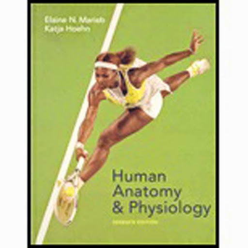 Human Anatomy And Physiology by Elaine Marieb