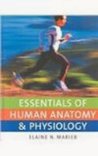 Essentials of Human Anatomy And Physiology by Elaine Nicpon Marieb