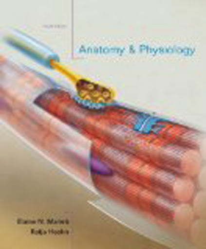 Anatomy And Physiology by Elaine N Marieb