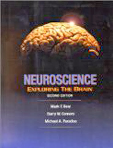 Neuroscience by Mark F Bear