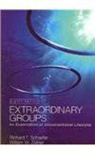 Extraordinary Groups by Richard T Schaefer