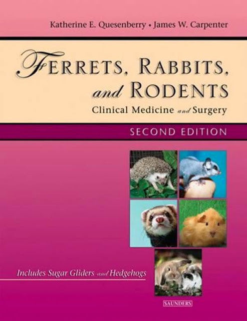 Ferrets Rabbits And Rodents by Katherine Quesenberry Diplomate ABVP