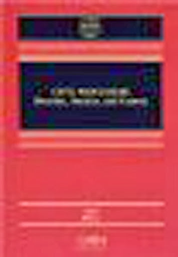Civil Procedure by Stephen N Subrin