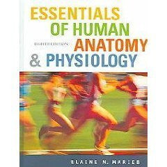 Essentials of Human Anatomy And Physiology by Elaine Nicpon Marieb