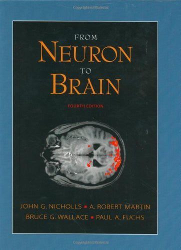 From Neuron To Brain by John G Nicholls