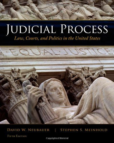Judicial Process by David W Neubauer