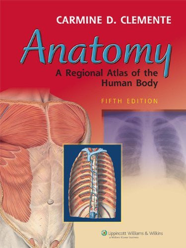 Anatomy by Carmine D Clemente
