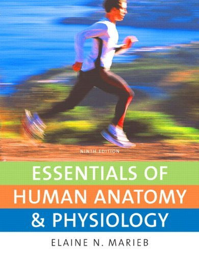 Essentials of Human Anatomy And Physiology by Elaine N Marieb