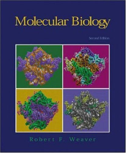 Molecular Biology by Robert F Weaver