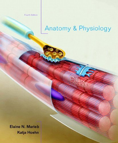 Anatomy And Physiology by Elaine N Marieb