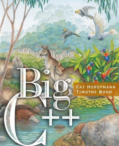 Big C++ by Cay S Horstmann