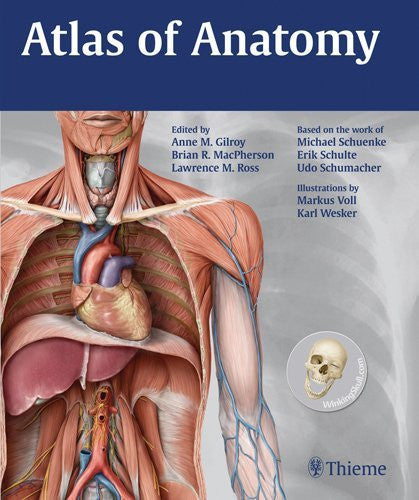 Atlas of Anatomy by Anne Gilroy