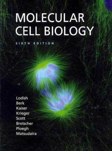 Molecular Cell Biology by Harvey Lodish