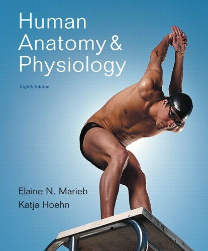 Human Anatomy And Physiology by Elaine N Marieb