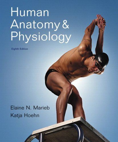 Human Anatomy And Physiology by Elaine N Marieb